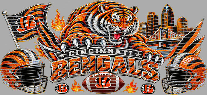 16oz team-NFL 3726